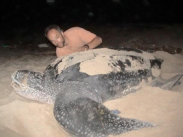 فندق Roca Mar Playa Bonita بويرتو ليمون المظهر الخارجي الصورة